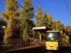 千登世橋の上から都電荒川線の学習院下電停に移動して来ました
明治通り沿いのイチョウ並木のすぐ横にある学習院下電停
今度はもうちょっとイチョウ並木に近寄って風景探しに勤しんでみます