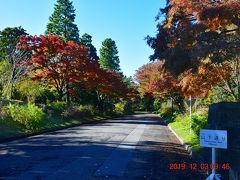 乾通りから見た山下通りの紅葉。

乾通りから脇の道に入ることは出来ません。
