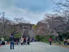 福岡藩の黒田如水・長政親子が祀られている光雲神社も桜はまだまださびしい限りですが参拝客は多いです。