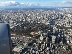 着陸態勢に入ると大阪城が見えてきました。
この後、伊丹空港に着陸、荷物をピックアップして行動開始です。
