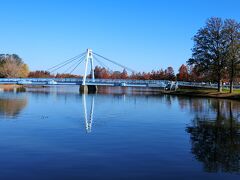 水元公園に入った。水辺でひろびろ。