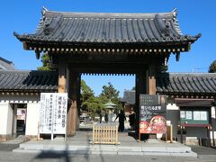 水元公園近くの南蔵院へ。江戸名所のしばられ地蔵尊がある。