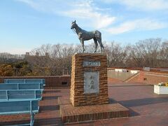 　庭に馬の像が立っています。
　根岸森林公園の方に下りると、ポニーセンターがあり、ポニーがいます。