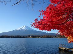 逆さ富士の展望スポット「産屋ケ崎」に行ってみると、逆さ富士は見られませんでしたが、思いがけず紅葉が見られました♪