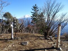 毛無山に登頂！
最高点（標高1964m）は少し手前にありましたが、三角点のある場所（標高1945m）に山頂標識がありました。