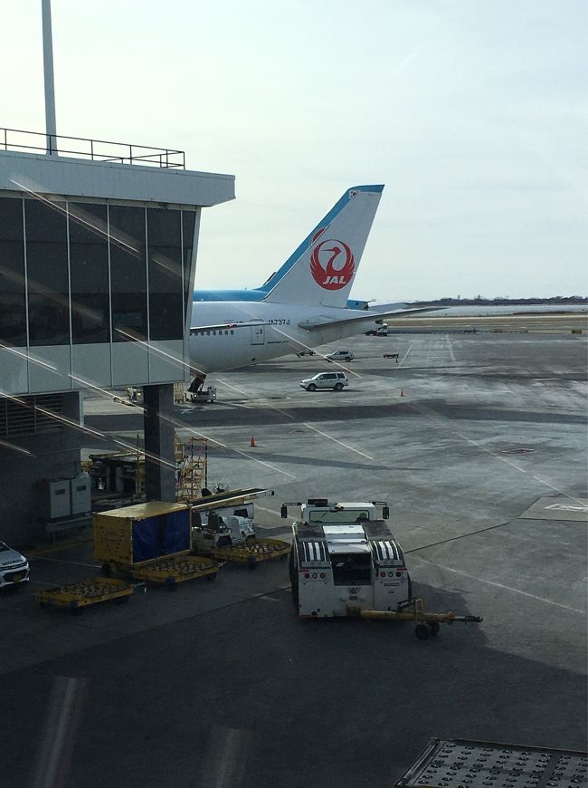 ラウンジで時間調整したあとは、JALで羽田に戻ります。