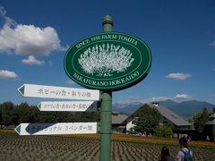 ファーム富田にやって来ました。