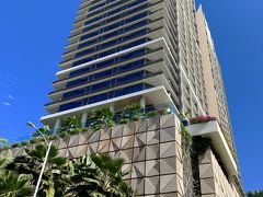 目の前はトランプ

そんな場所にひっそりと咲く
白いハイビスカス
