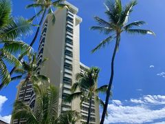 大好きなポイント

椰子の木とシェラトンのコラボ
