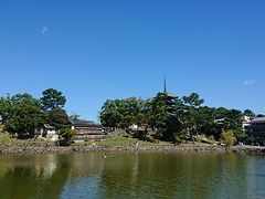 池から見る興福寺。
秋晴れの空がとってもきれい。