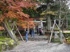 「白川八幡神社(しらかわはちまんじんじゃ)」。
白川郷では毎年１０月に"ゴコクホウジョウ"・家内安全・里の平和を、
山の神様に祈願する「どぶろく祭」が行われるとのコト。