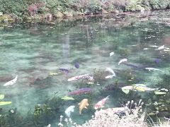 根道神社 (モネの池)