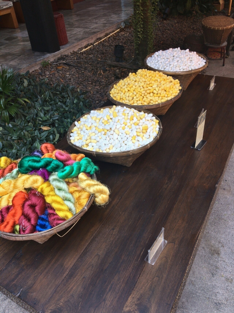 外に出ると色々な色の繭と絹糸が。