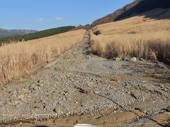 すすき草原に到着。
何と、こちらも台風１９号の影響で散策路の半分以上が立入禁止。
