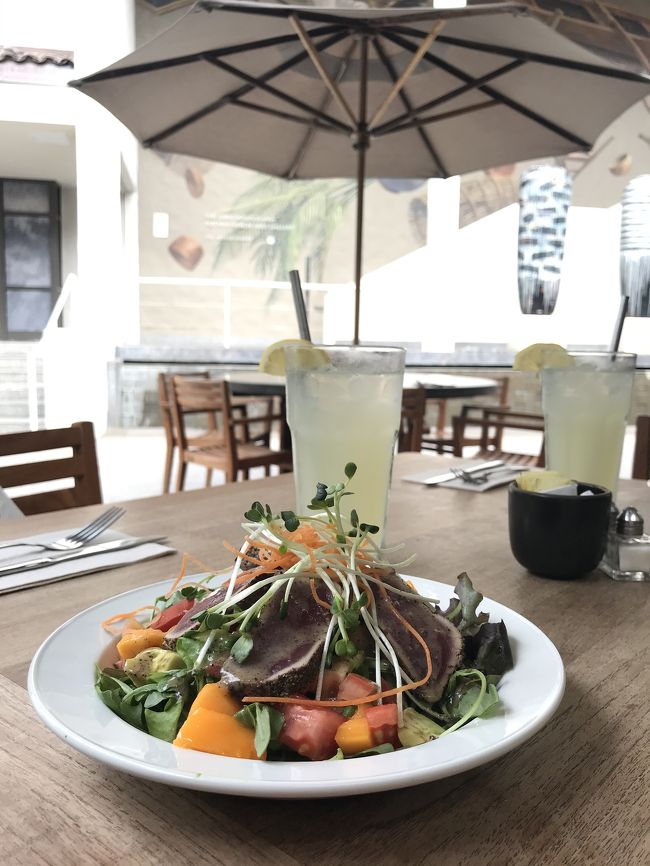 ホノルル美術館のカフェ<br />炙りアヒとローカル野菜たっぷりサラダ<br />ドリンク、デザート付きのセットで23ドル