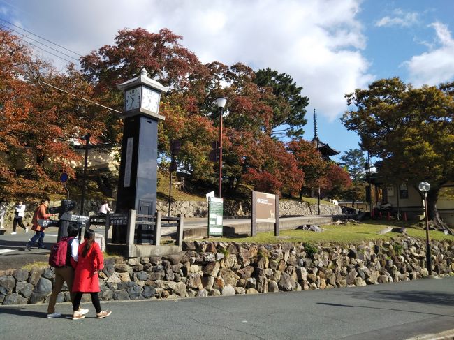 すぐ近くの興福寺にも少し立ち寄ることにします。