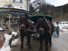 今回かなり雪が降っていたので、ミュンヘンからノイシュバンシュタイン城に行くバスツアーの催行が全然なく、唯一あったベルトラの英語ツアーを申し込みました！
当日は１０カ国以上の国の人たちが参加して満席でした。

まずは、大型バス停留所に到着したあと、
お土産屋をみながらお城の入り口に行きます。
（大体１０分ぐらいかかります）
お手洗いがないので見つけたら早めに行っといた方がいいです！
（無人ですが有料）

ツアーのお客さんは何時までにお城の入り口にきてくださいと案内があるので、
その時間までにお城に行かないといけません！

ちなみにすごい長い坂ですが、歩き４０分ぐらい、馬車だと往復約３ユーロで２０分で着きます！いつもオフィスワークをやっている姉は歩きで登るのに相当体力持ってかれます。。。笑　長蛇の列でなければ馬車に乗った方がいいです！
