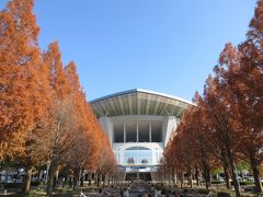 帰宅前に立ち寄った埼玉スタジアム。
正面入り口前には紅葉したメタセコイアの並木が造られていました。