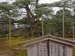 根上松

兼六園　花見橋付近