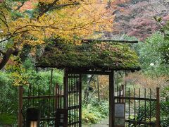浄智寺から葛原岡ハイキングコースに向かう道にある茶室の門

苔むす屋根がなんとも良いですね。

たからの庭　たからの窯　特設通路
茶室　宝庵
との案内がありました。