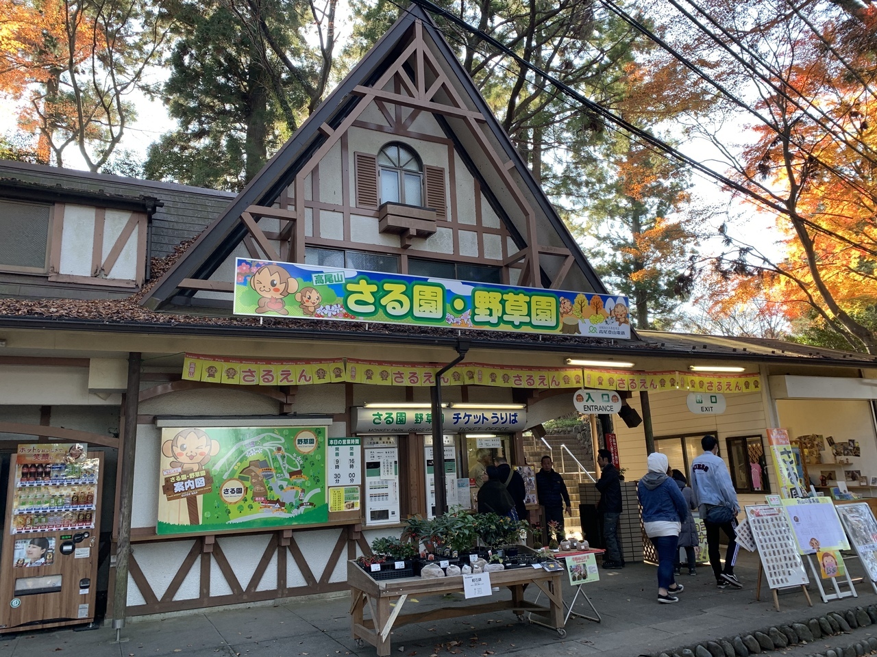 リフトを降りて３分ほど歩くと「さる園・野草園」がありました。高尾山の人気スポットなので入園料４００円でした。