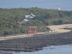 遠くに見える鳥居は、地図を見ると青島神社のようです。