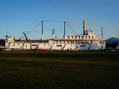 夕方のユーコン川にクロンダイク号 SS Klondikeの船を眺めます。ゴールドラッシュの頃はドーソンシティへは船でしか行けず、一攫千金を狙った乗客で溢れていたそう。今は道路が走っており、翌日はこの道路を走ってドーソンシティへ向かいます。