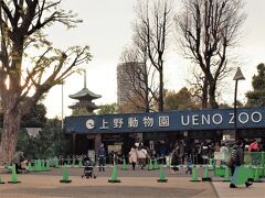 そして、お隣りが上野動物園
空が薄曇りなので景色がどんよりして、パッとしません。
