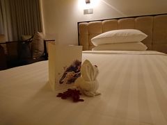 空港からホテルまでの移動は、今回は、ベルトラで、ファストトラック利用と送迎のプランを利用しました。

まったく待つことなく、並ぶことなく、入国できて、本当にラクでした！
たまたまだと思いますが、荷物も直ぐに出てきたので、驚くほど時間短縮ができて、体力も温存できました。

ホテルのお部屋の中で、前回と違ったのは、このウサギがいたことと、モバイルフォンがないこと、アメニティがBalmainに変わっていたことくらいです。