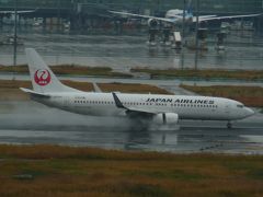私はこの飛行機をお待ちしていました　無事着陸できたようで・・
