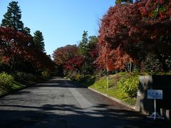 やっぱり乾通りを抜けるルートを選びました・・
山下通り・・