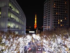 六本木ヒルズをあとにして、夜の六本木ヒルズ周辺を徘徊☆

けやき坂のイルミネーション☆
そして東京タワー☆

ここは写真を撮る人用の台座があるので、その上で撮ることができます☆