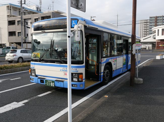 千葉袖ヶ浦 東京ドイツ村の イルミネーション チャイナランタン19 を訪れて 袖ヶ浦 千葉県 の旅行記 ブログ By Sakatomoさん フォートラベル