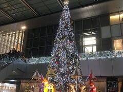 結局名古屋駅につくまでご飯屋さんに入らず来てしまったので、お腹減りました笑