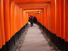 鳥居を奉納する習慣は、江戸時代以降に広がり、願いが叶ったお礼の意味を込めて行われるようになったと言われています。