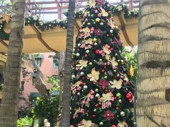 更に足を延ばすと、ロイヤルハワイアンセンターの
大きなクリスマスツリーに遭遇！