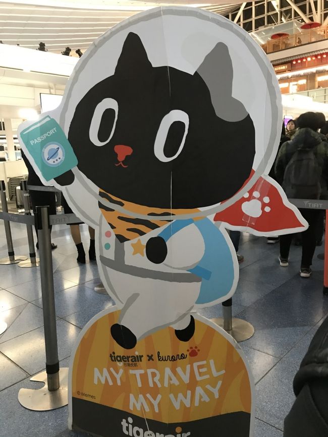 LCC今回はタイガーエアーで。<br />行きは19/12/13 （金）5:00羽田発→19/12/13 7:55台湾桃園空港（二人で22,667円）<br />帰りは19/12/15 （日）11:55台湾桃園空港発→12/15 16:00成田着（二人で18,543円）<br />2人で往復41,209円！一人当たり約20600円！！<br /><br />朝の5時発でチェックインが2時間半前だったので早めに着いて六厘舎のラーメン食べて爆睡というシナリオは通らず、、笑