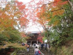 神護寺の楼門が見えてくるこの階段が一番つらかったです。手すりを使いながら上りました。
