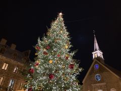 勝利のノートルダム教会
こちらには大きなクリスマスツリー