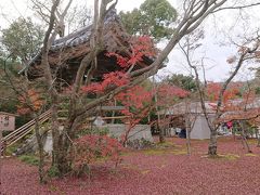 金閣寺に移動。ここでも紅葉を楽しめます。