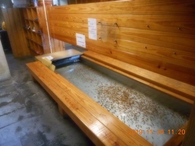 足湯　入りませんでしたが貸し切り風呂を利用すると無料です<br />ドクターフィッシュですが酸性泉に入った足を入れても大丈夫かな<br /><br />奥に見える棚にサンダルが入っているので履き替えて　いよいよ浴室に案内されます