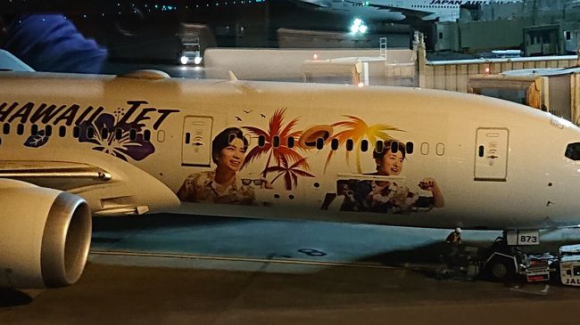 窓の外には嵐のJAL 機<br />残念ながらのれませんでした。