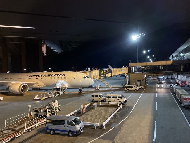 1日目、移動。<br />1年半ぶりのハワイです。JALグローバルクラブの特典を使ってビジネスでチェックイン、優先レーンで手荷物チェックしました。