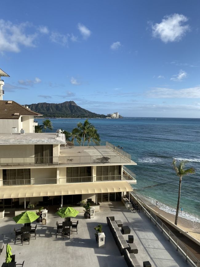 部屋から見た風景は爽快