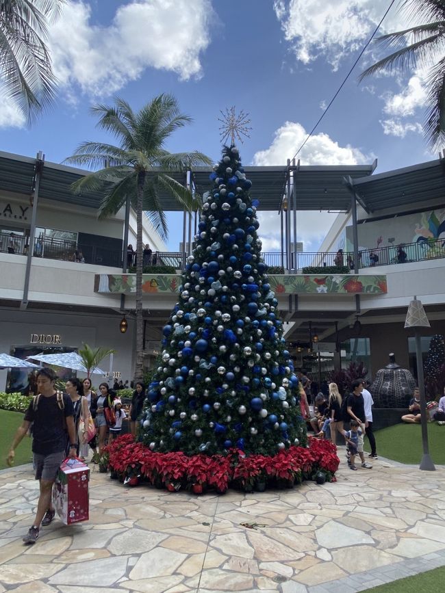 もうクリスマスツリーがありました。ショッピングするもフライト疲れで身が入りません（笑）友達はリモアを買ってました。