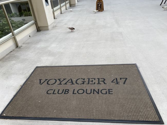 ワクワク期待していたんだけどなぁ。<br />期待はずれでした。