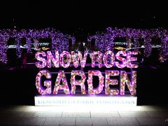 山下公園、ローズガーデンのイルミネーション。