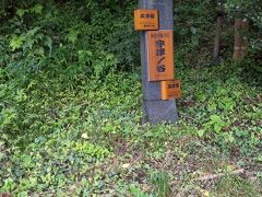 いよいよ宇津ノ谷峠入口です。14:30通過。距離は短く高低差もそれほどないのですが、標識がなく分かりづらかった。どこが峠の頂上かわからない。