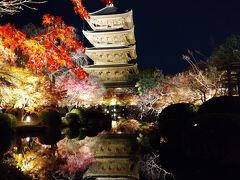 夕食の後は夜の東寺のライトアップ鑑賞。
入場1,000円はちょっと高いけど、観ておいて良かったです！