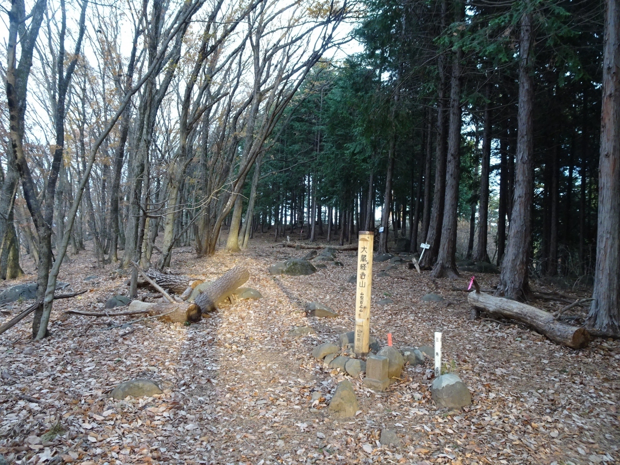 大蔵経寺山（標高715m）に登頂！
樹木に囲まれて展望はありませんでした。